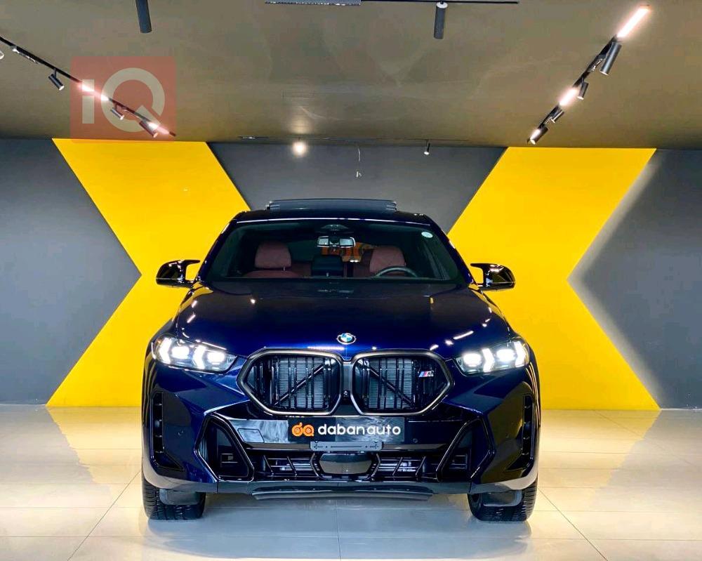 BMW X6